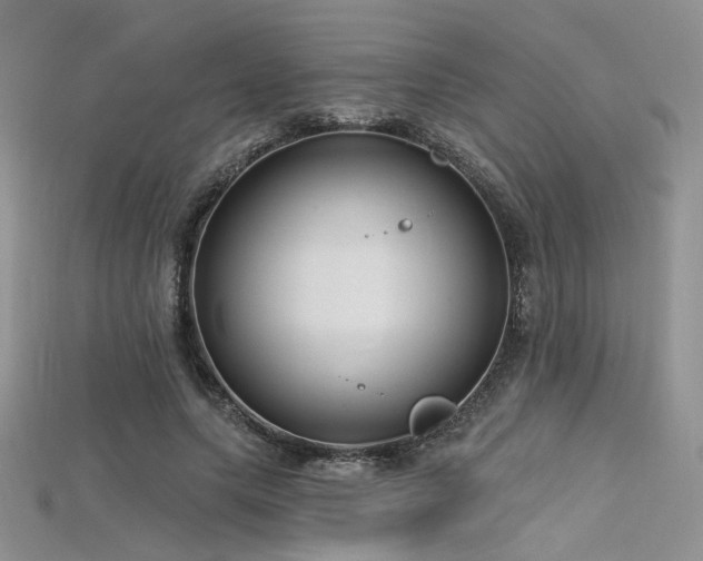 X0000115730639200911121512