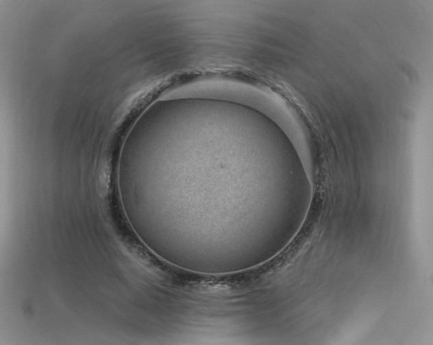 X0000115730640200911121512