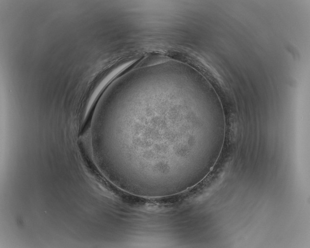 X0000115730641200911121512
