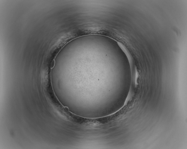 X0000115730642200911121512