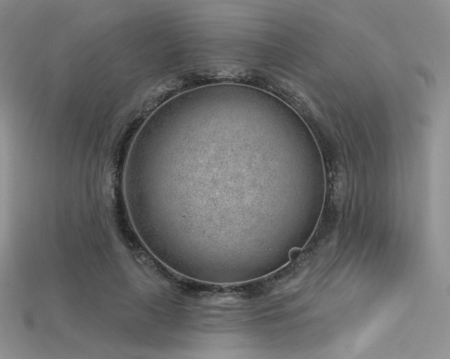 X0000115730643200911121512
