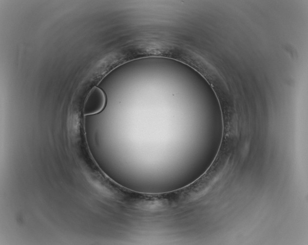 X0000115730646200911121512