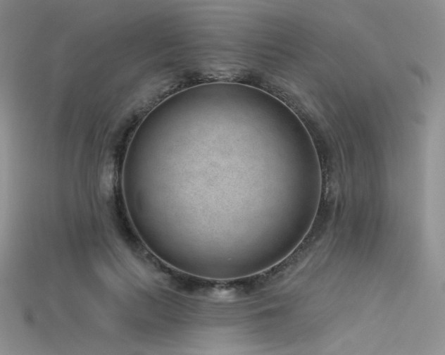 X0000115730647200911121513