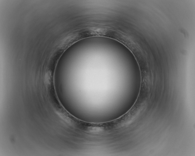 X0000115730649200911121513
