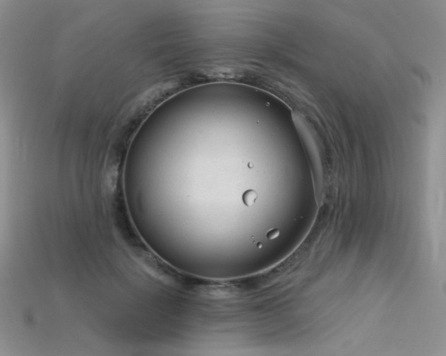 X0000115730652200911121513