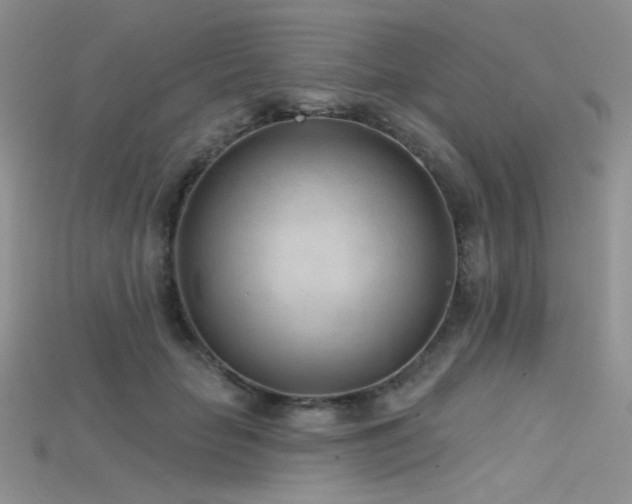 X0000115730653200911121513
