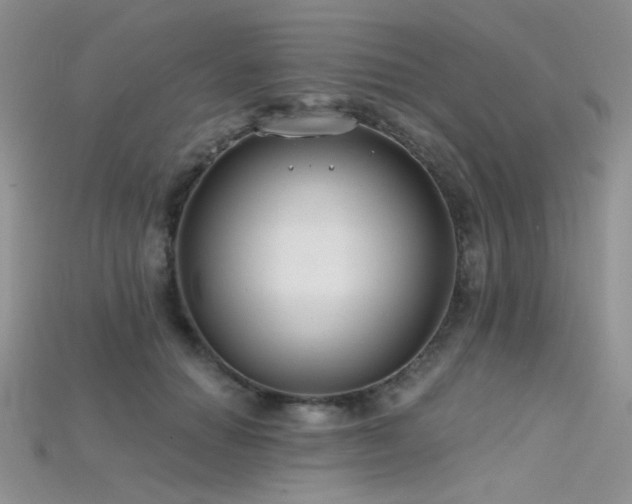 X0000115730654200911121513