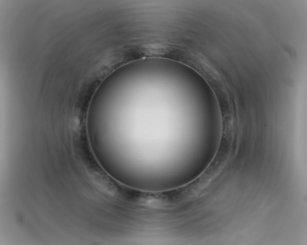 X0000115730655200911121513