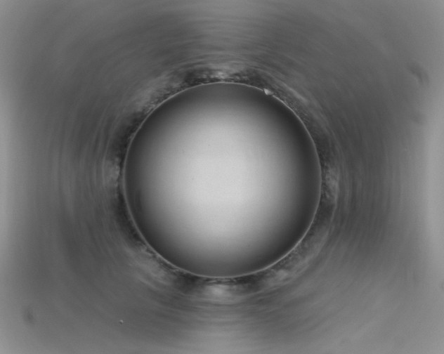 X0000115730657200911121513