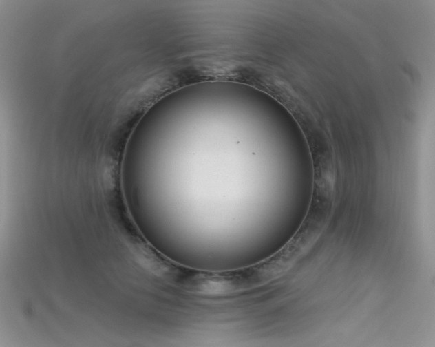 X0000115730658200911121513