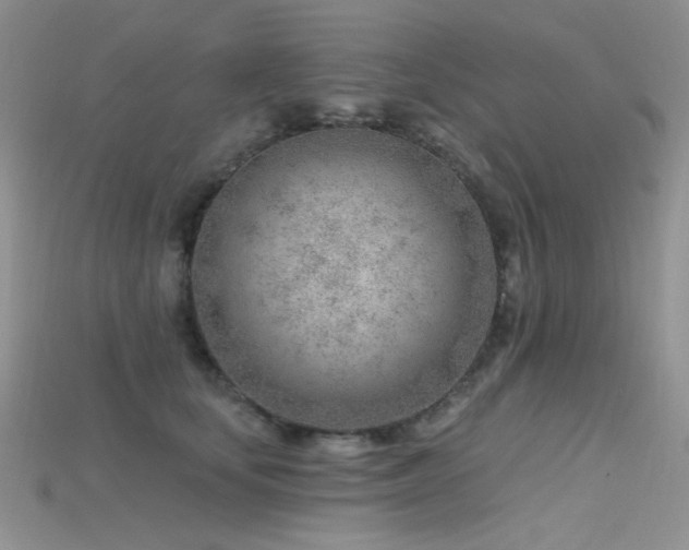 X0000115730659200911121513