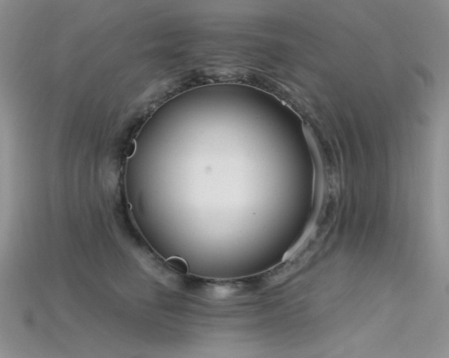X0000115730662200911121513