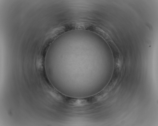 X0000115730663200911121513