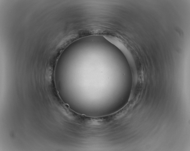 X0000115730664200911121513