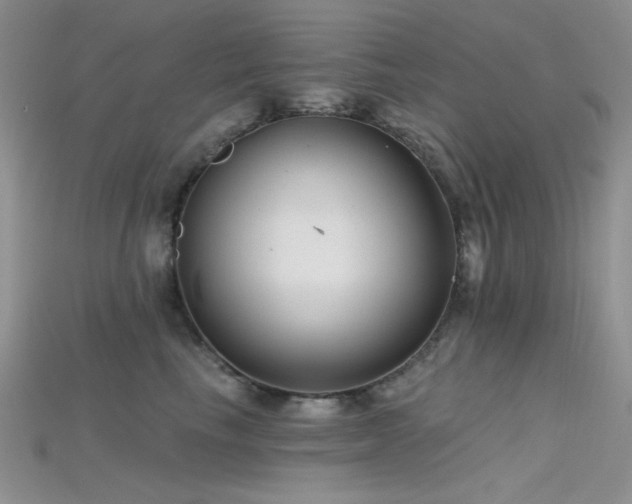 X0000115730665200911121513