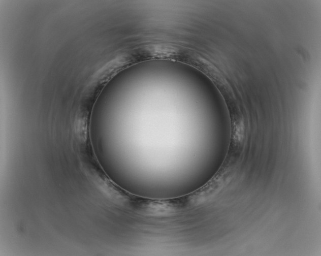 X0000115730666200911121513