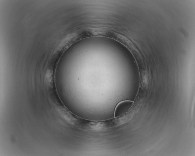 X0000115730667200911121513