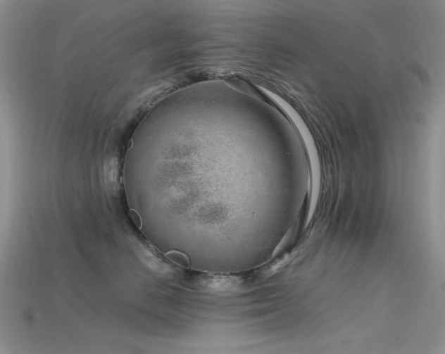 X0000115730670200911121513