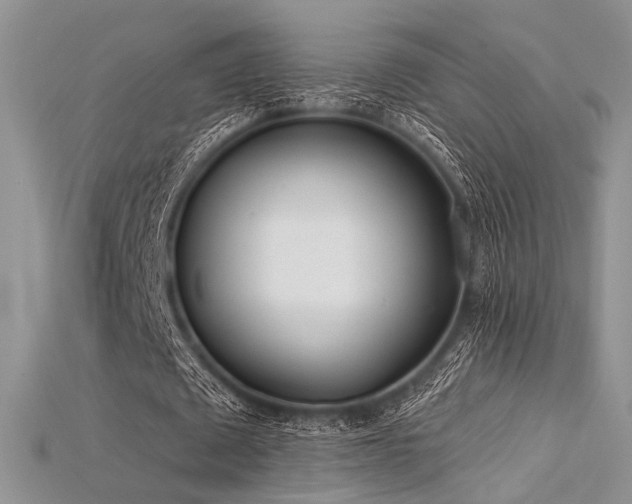 X0000115730673200911121512