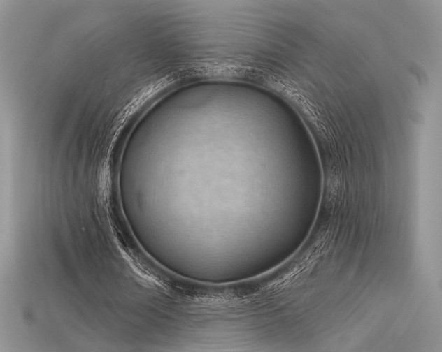 X0000115730674200911121512