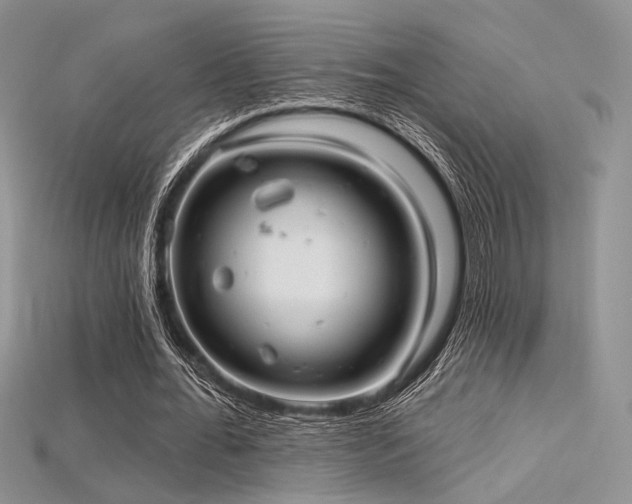 X0000115730676200911121512