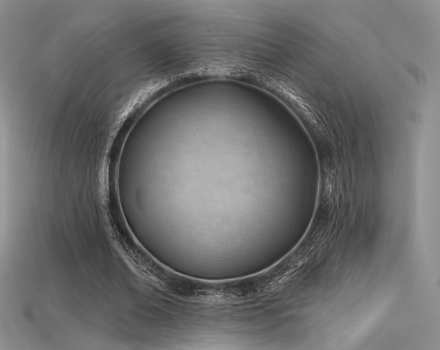 X0000115730678200911121512