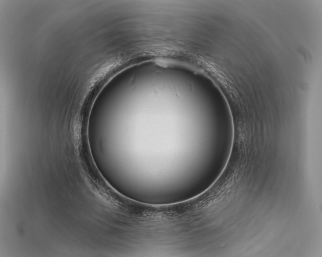 X0000115730679200911121512