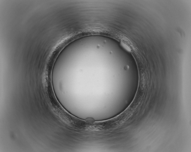 X0000115730680200911121512