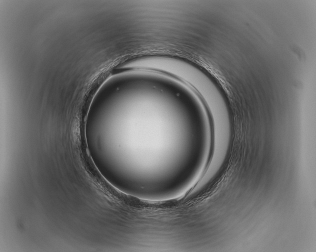 X0000115730681200911121512