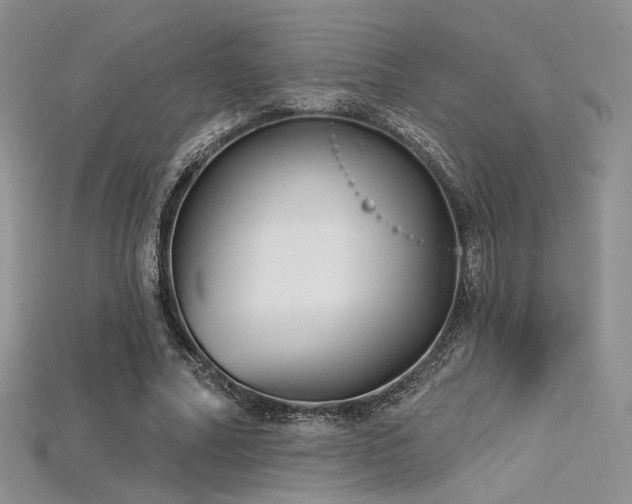 X0000115730682200911121512