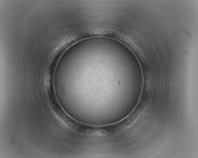 X0000115730683200911121512