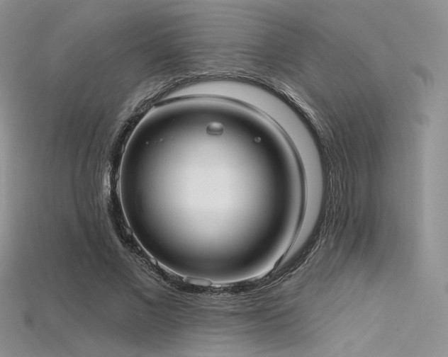 X0000115730685200911121512