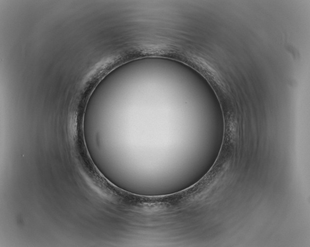 X0000115730686200911121512