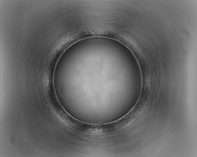 X0000115730687200911121512