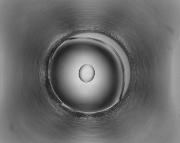 X0000115730688200911121512