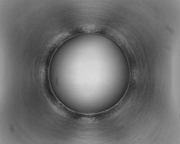 X0000115730690200911121512