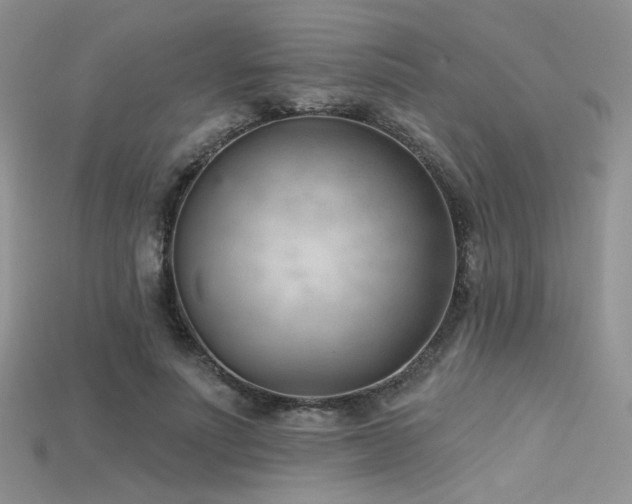 X0000115730691200911121512