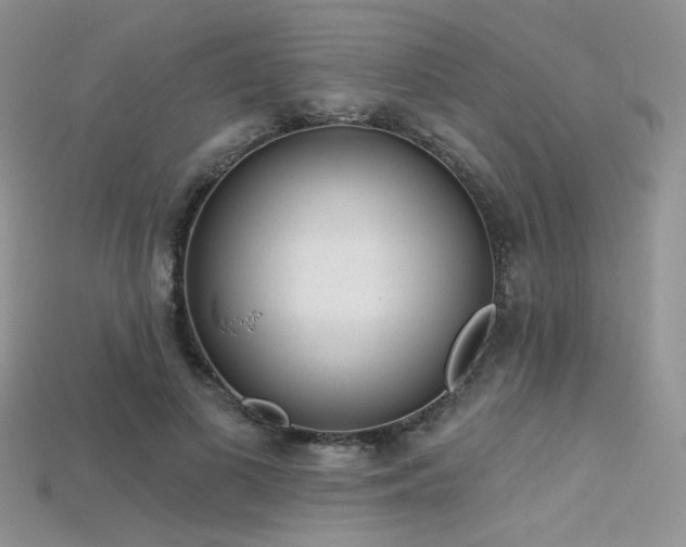 X0000115730693200911121512