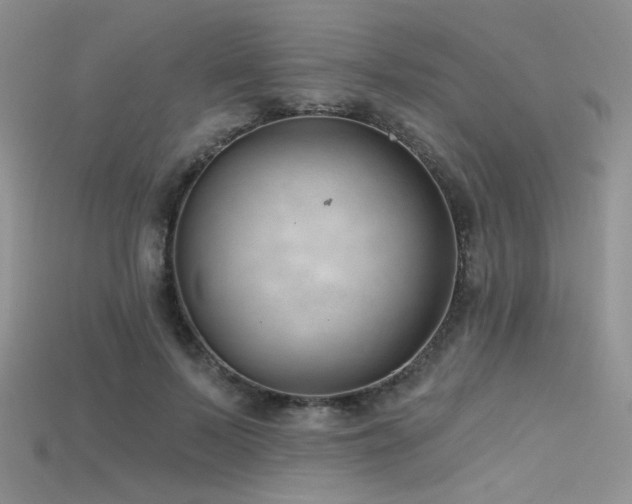 X0000115730695200911121512