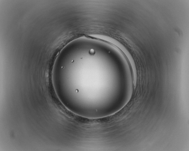 X0000115730696200911121512