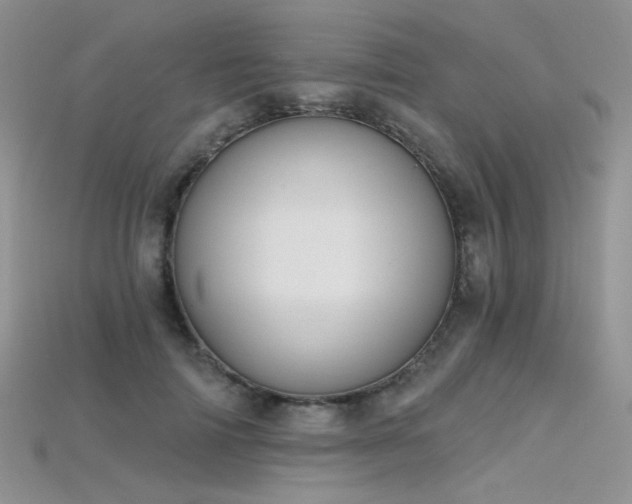X0000115730698200911121512