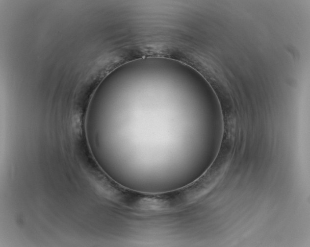 X0000115730699200911121512