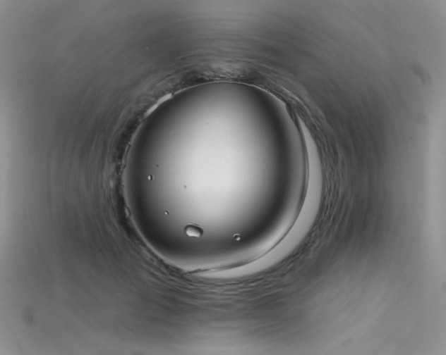 X0000115730701200911121512