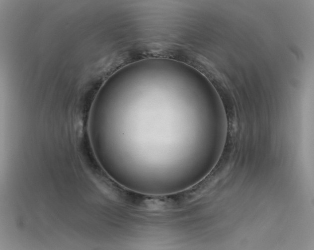 X0000115730703200911121512