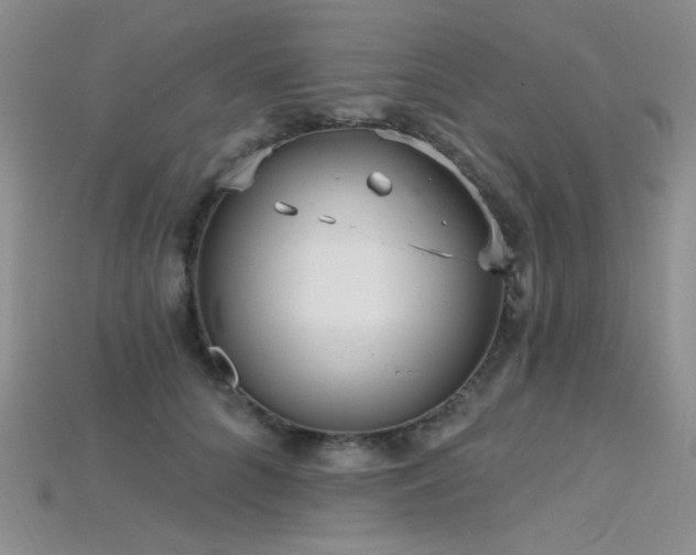 X0000115730704200911121512