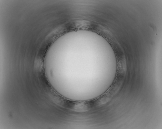X0000115730705200911121512