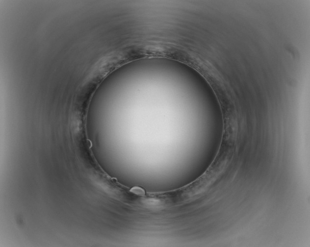 X0000115730706200911121512