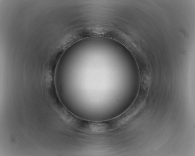 X0000115730707200911121512