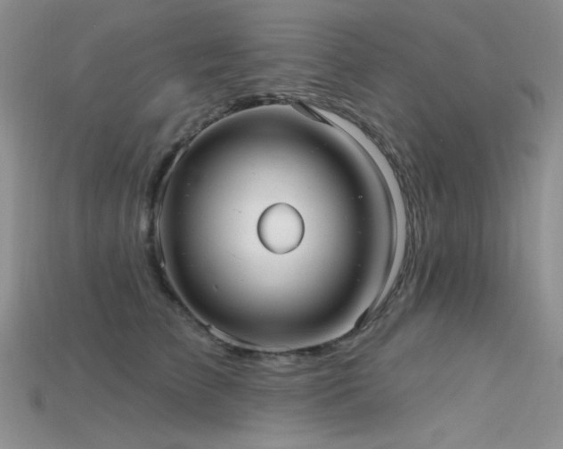 X0000115730709200911121512