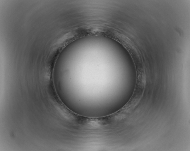 X0000115730710200911121512
